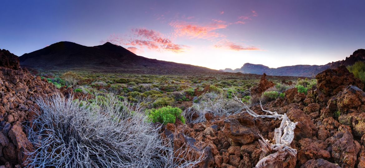 Wandern auf Teneriffa: Entdeckt die besten Touren für jedes Level