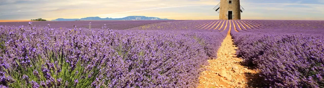 Provence