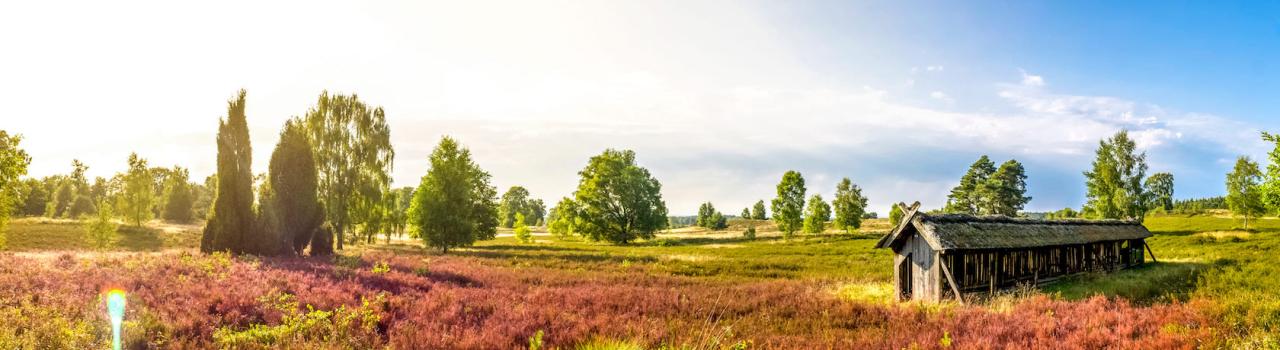 Lüneburger Heide