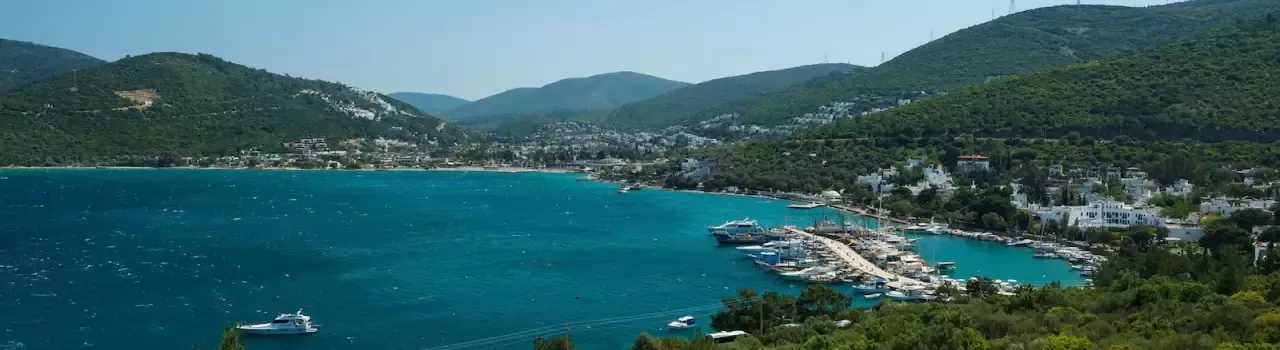 Torba