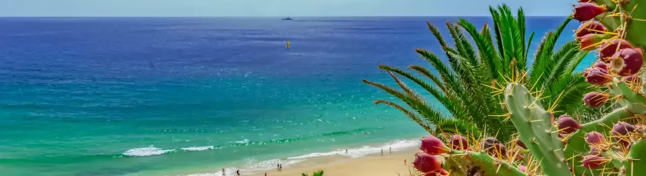 Fuerteventura im Dezember