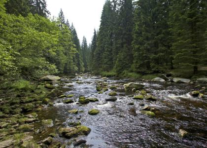 Urlaub Böhmerwald