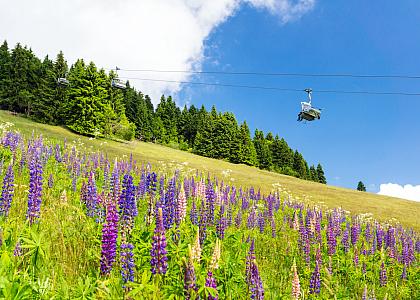 Erzgebirge