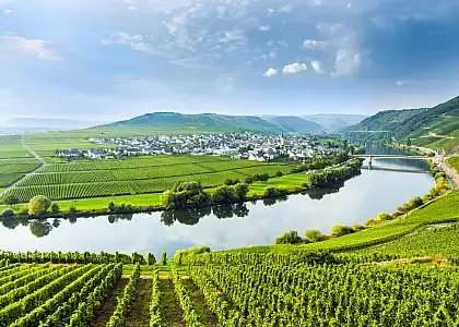 Mosel