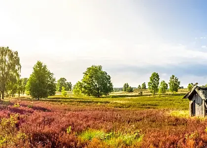 Urlaub Lüneburger Heide