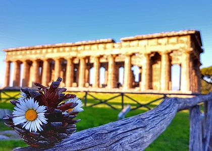 Urlaub Paestum