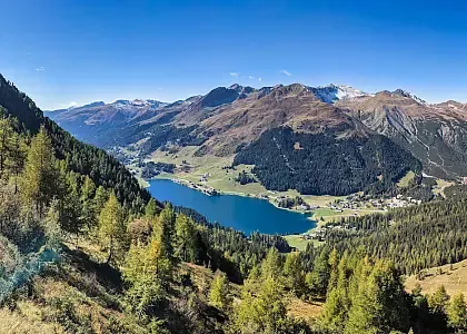 Davos