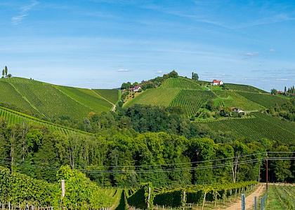 Steiermark