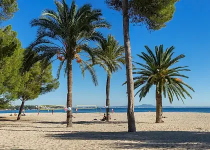 Magaluf