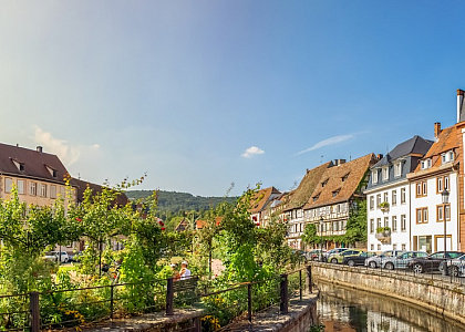 Elsass