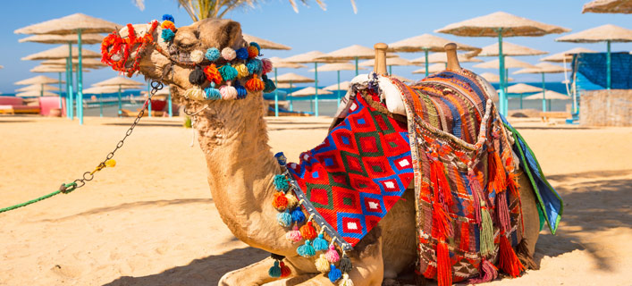Marsa Alam - Fakten in Kürze