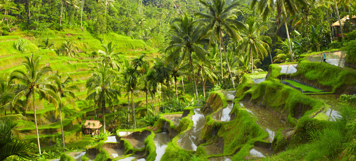 Bali - Sehenswürdigkeiten