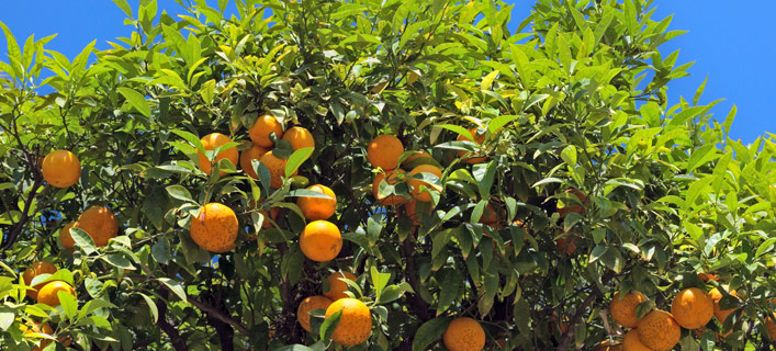 Côte d'Azur - Klima und Reisezeit