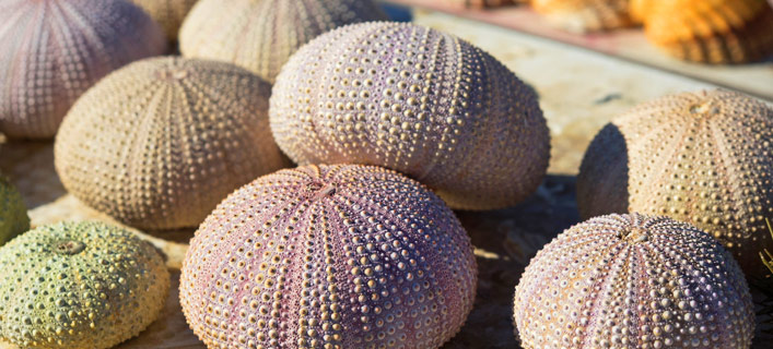 Portugal - Fakten in Kürze