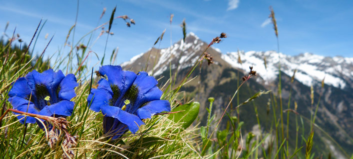 Tirol - Fakten in Kürze
