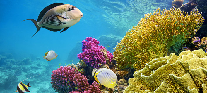 Marsa Alam - Sehenswürdigkeiten