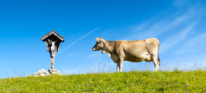 Tirol - Sehenswürdigkeiten