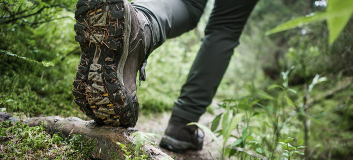 Bayerischer Wald - Klima und Reisezeit